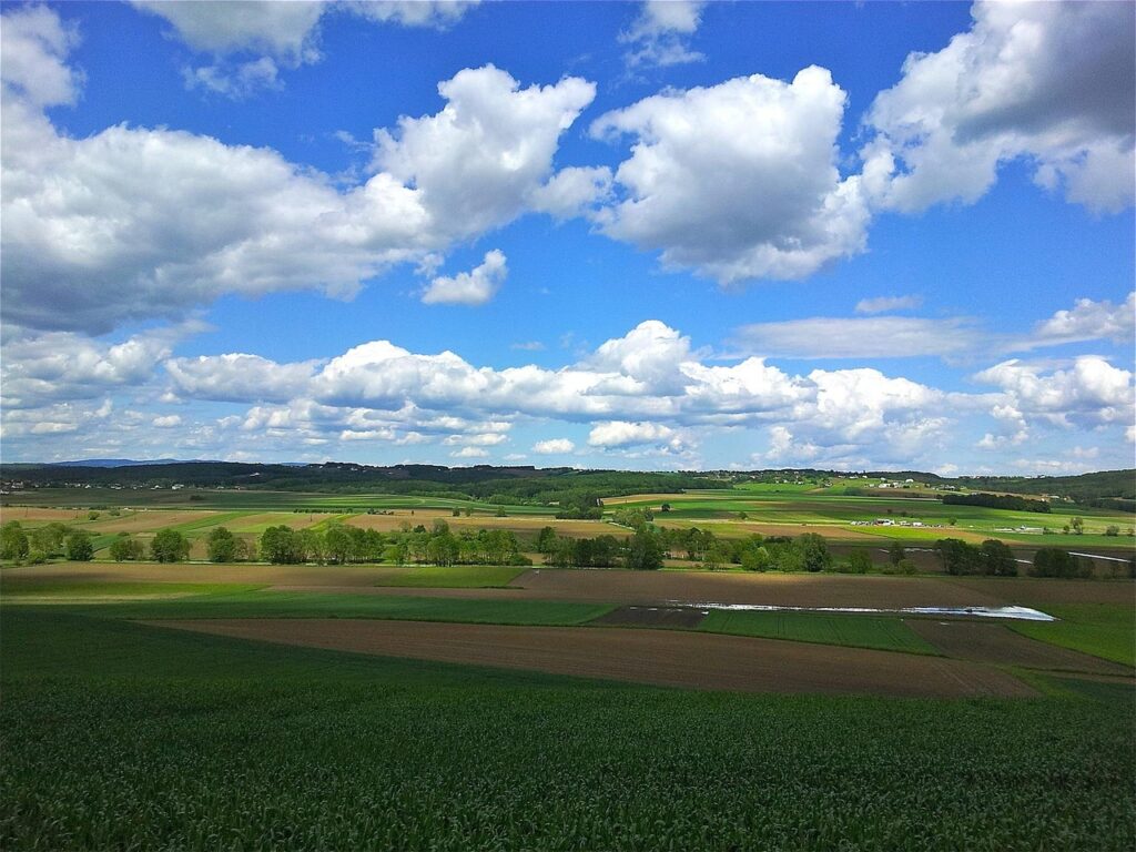 Immobilienmarkt Burgenland 2025: Trends & Chancen